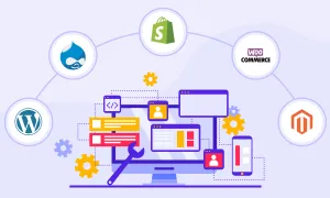 Attention Entrepreneurs! 6 Top CMS Platforms To Help Develop Your Business Website Are you looking for a content management system that can help you create the digital connection you need?