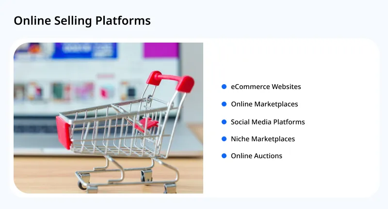 Online Selling Platforms